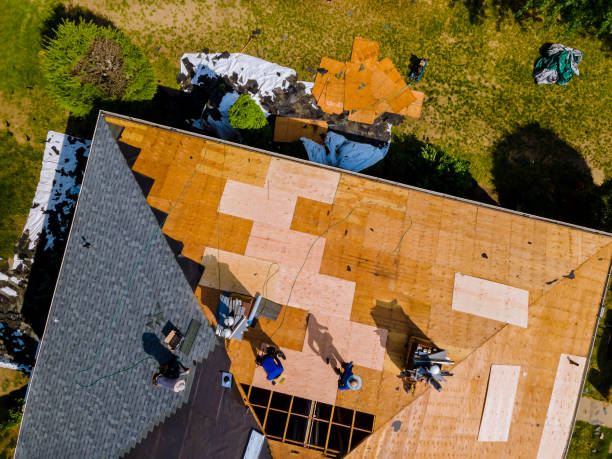 Best Gutter Installation and Roofing  in Hempstead, TX